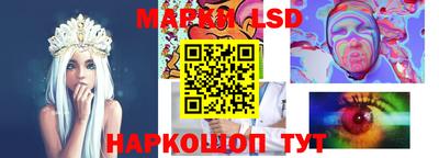 шишки Заволжье