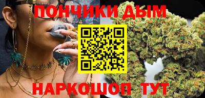 шишки Заволжье