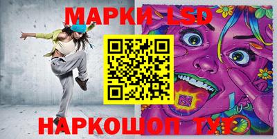 шишки Заволжье