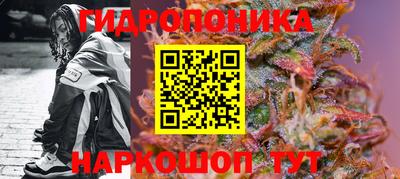 mdpv Заводоуковск