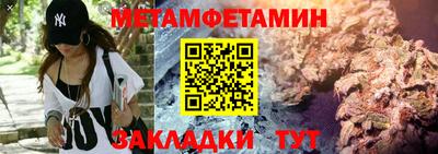 шишки Заволжье
