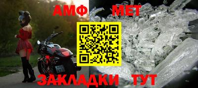 шишки Заволжье