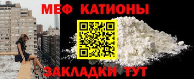 шишки Заволжье