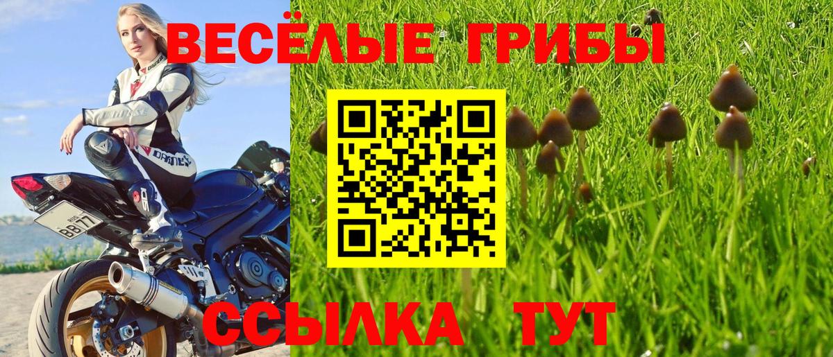 Псилоцибиновые грибы мухоморы Майкоп